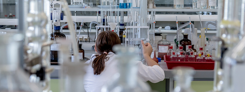 Quando si collabora i cervelli si allineano