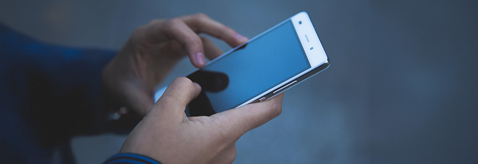 Quando si collabora i cervelli si allineano