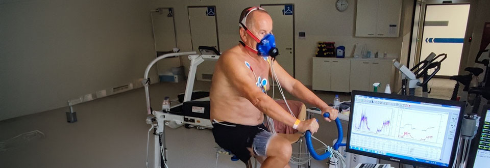 Quando si collabora i cervelli si allineano