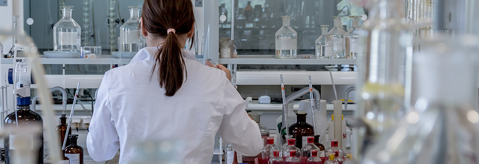 Quando si collabora i cervelli si allineano