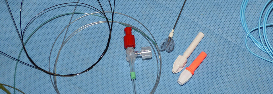 Quando si collabora i cervelli si allineano