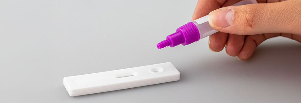 Quando si collabora i cervelli si allineano