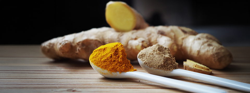 Quando si collabora i cervelli si allineano