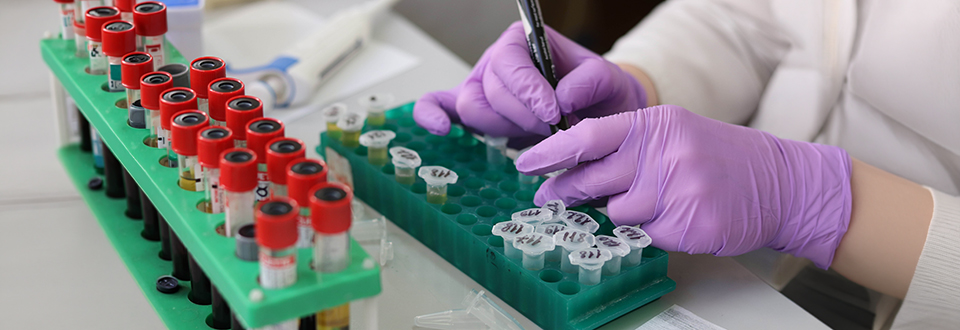 Quando si collabora i cervelli si allineano