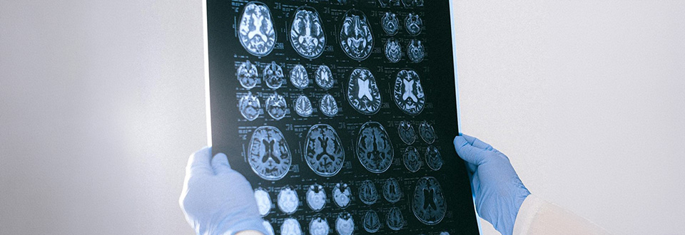 Quando si collabora i cervelli si allineano