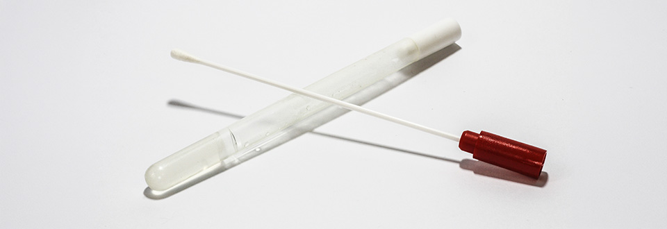 Quando si collabora i cervelli si allineano