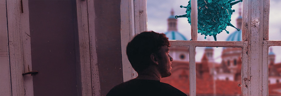 Quando si collabora i cervelli si allineano