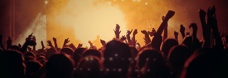 Quando si collabora i cervelli si allineano