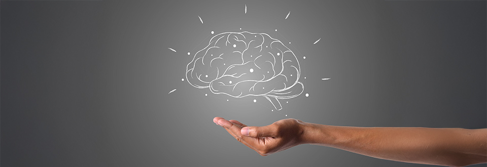 Quando si collabora i cervelli si allineano