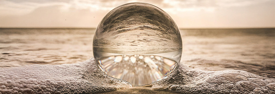 Quando si collabora i cervelli si allineano